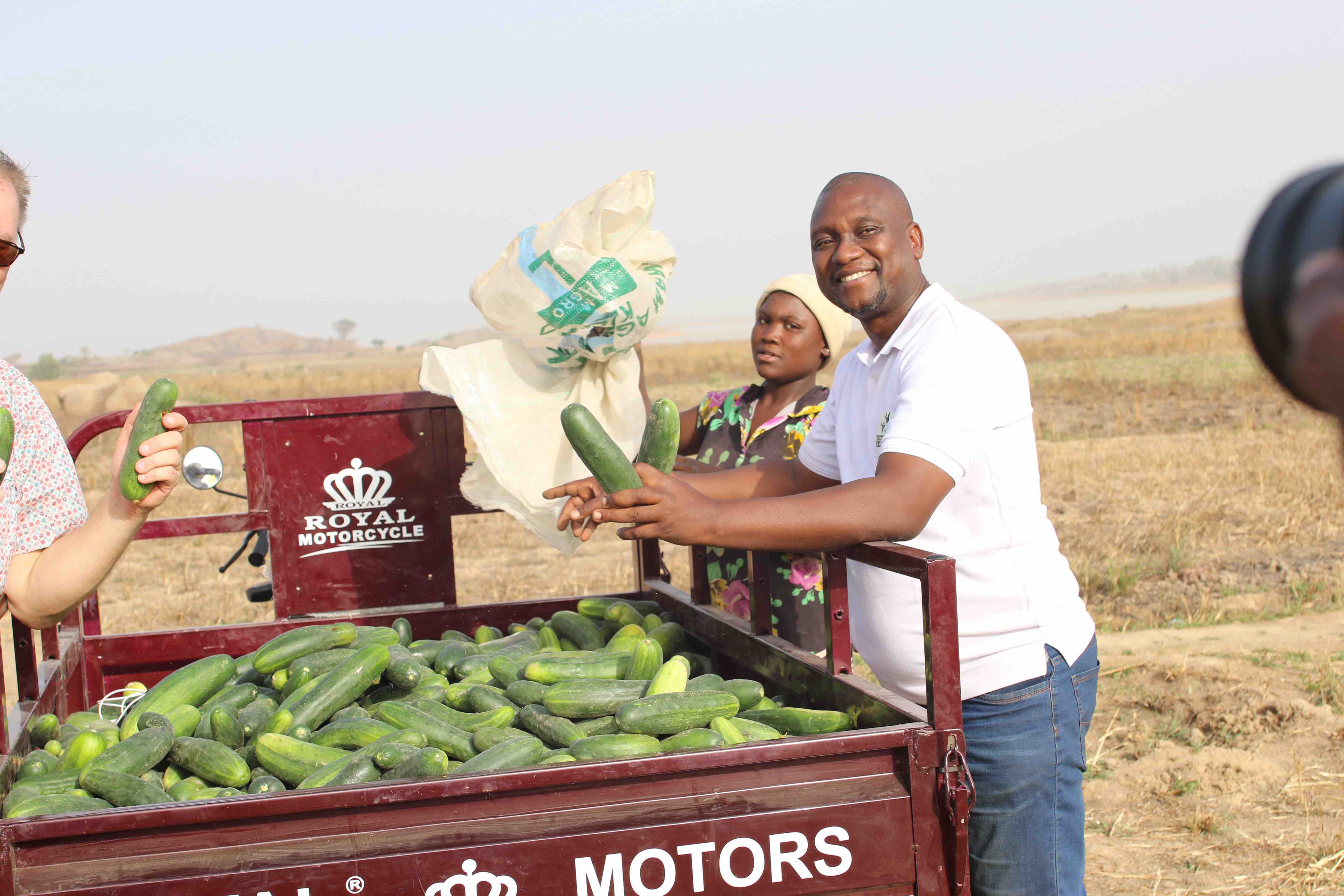 The Platform Foundation Farms